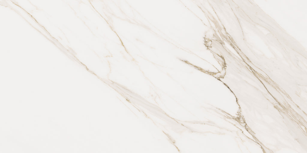 Cerdomus Omnia Calacatta 24"x48" Matte