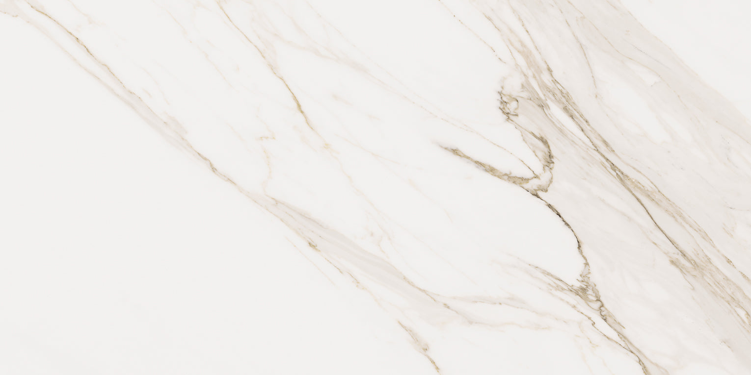 Cerdomus Omnia Calacatta 24"x48" Matte