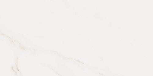 Cerdomus Omnia Calacatta 12"x24" Polished