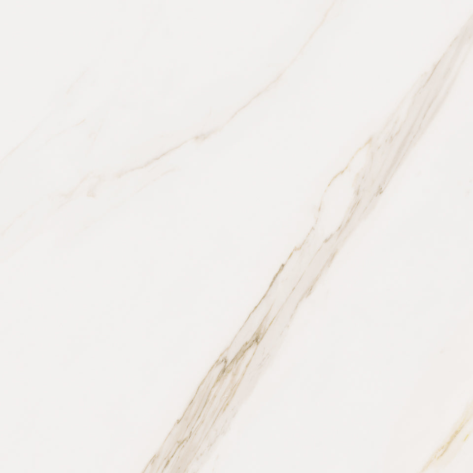 Cerdomus Omnia Calacatta 24"x24" Matte