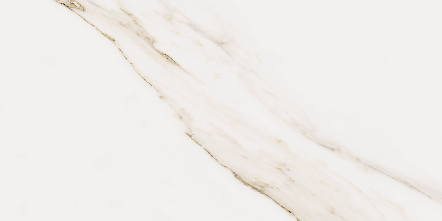Cerdomus Omnia Calacatta 12"x24" Matte