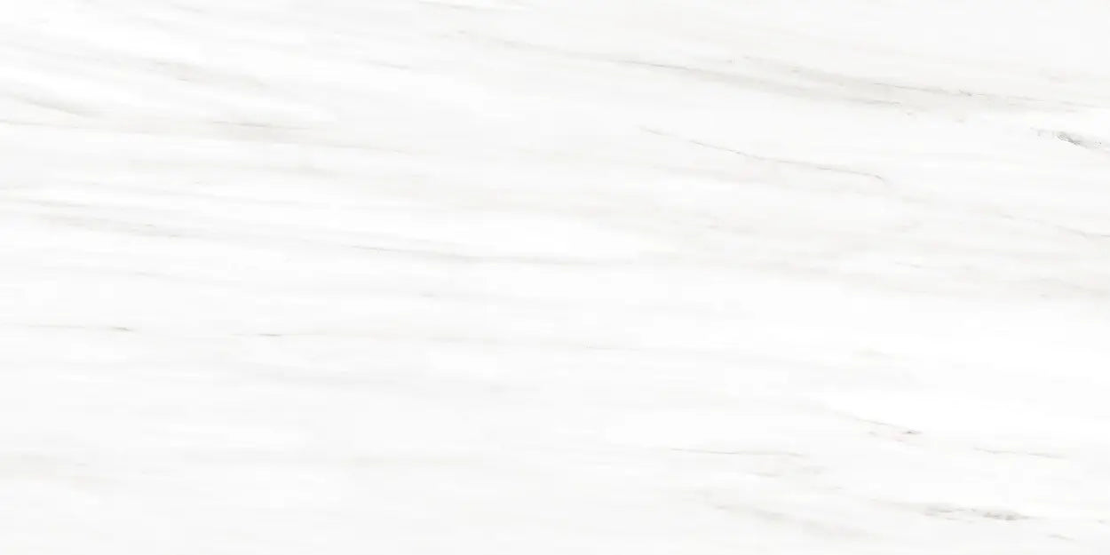 Rocca Lassa Dolomite 24"x48" Polished