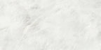 APE Alexandria White 24"x48" Polished