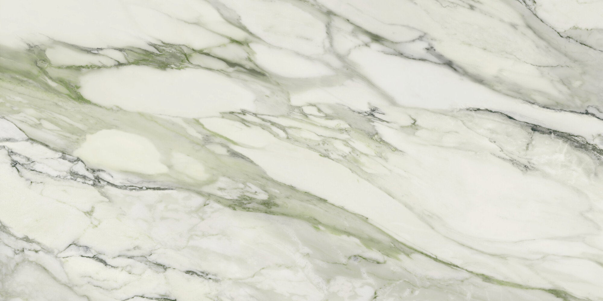 APE Arabescato Green 24"x48" Polished