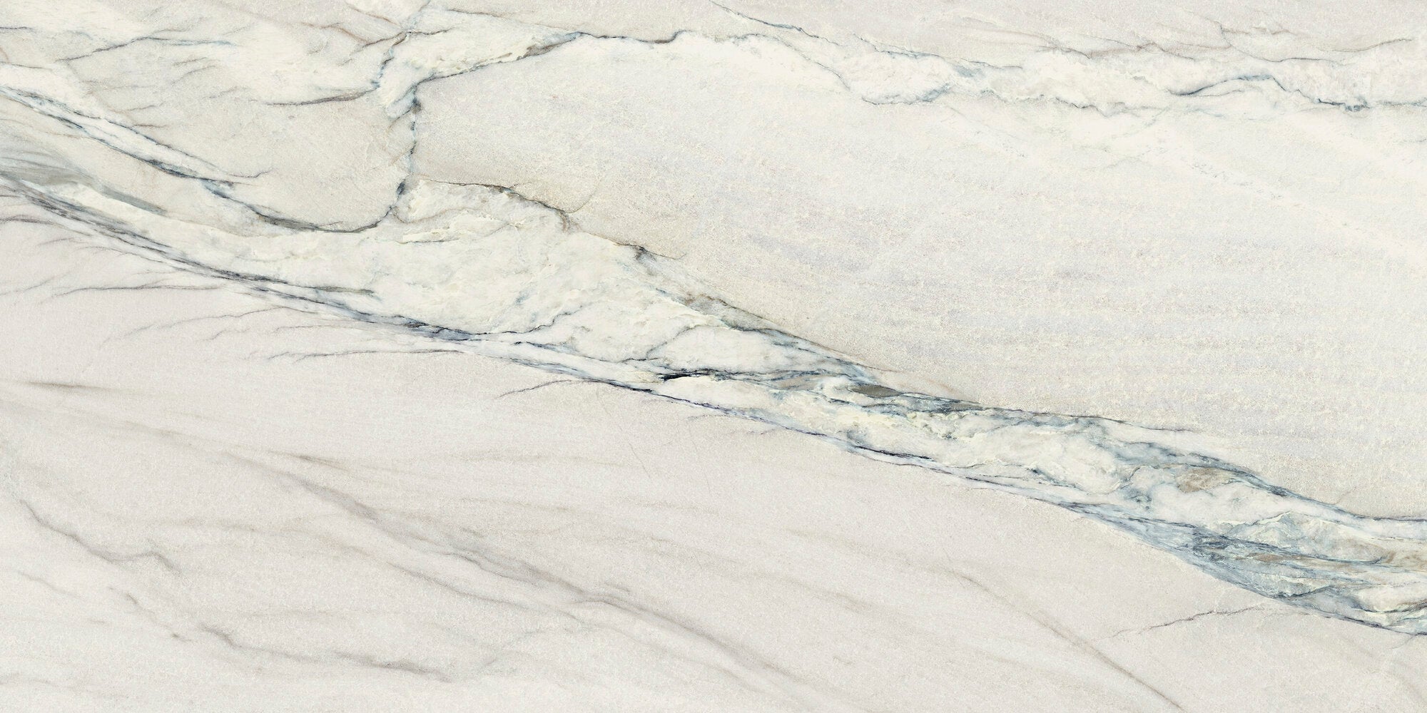 APE Michelangelo 24"x48" Matte