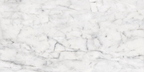 APE Vita Carrara 24"x48" Polished
