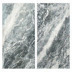 Elegance Attiva 24"x48" Polished