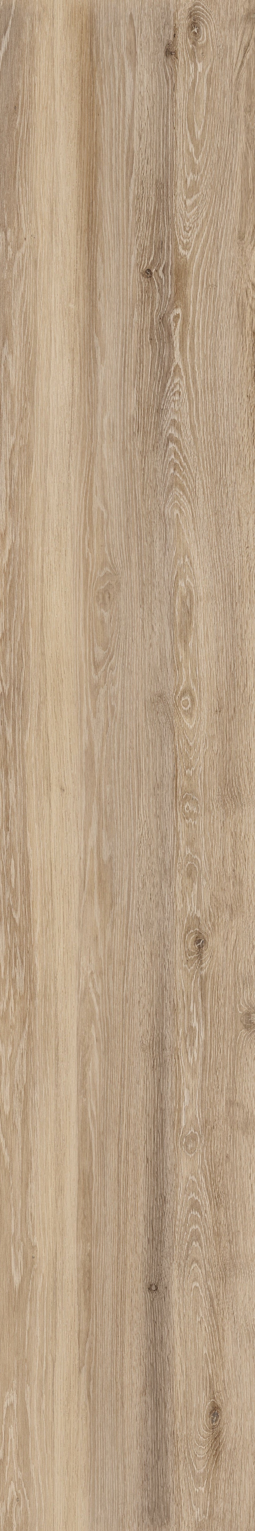 APE Sequoia Birch 10"x59"