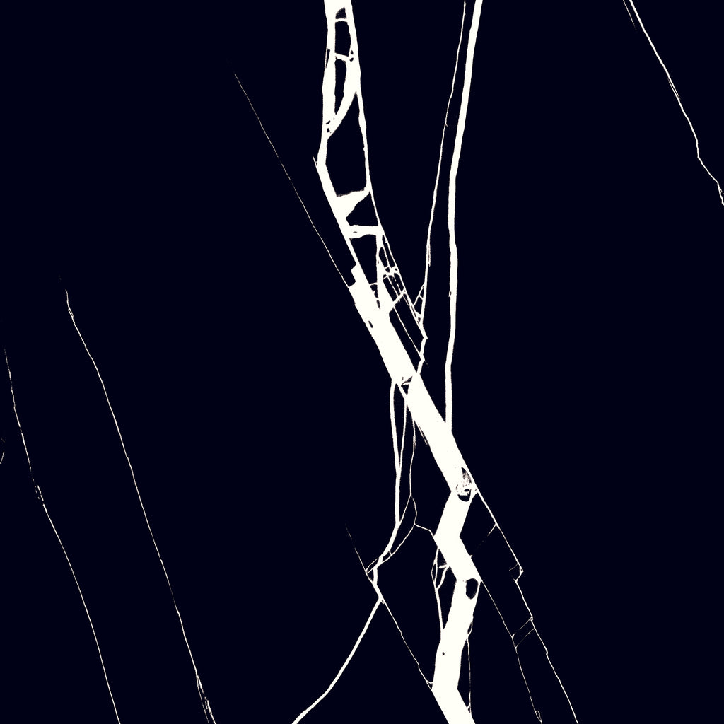 Nero Marquina 24"x24" Glossy