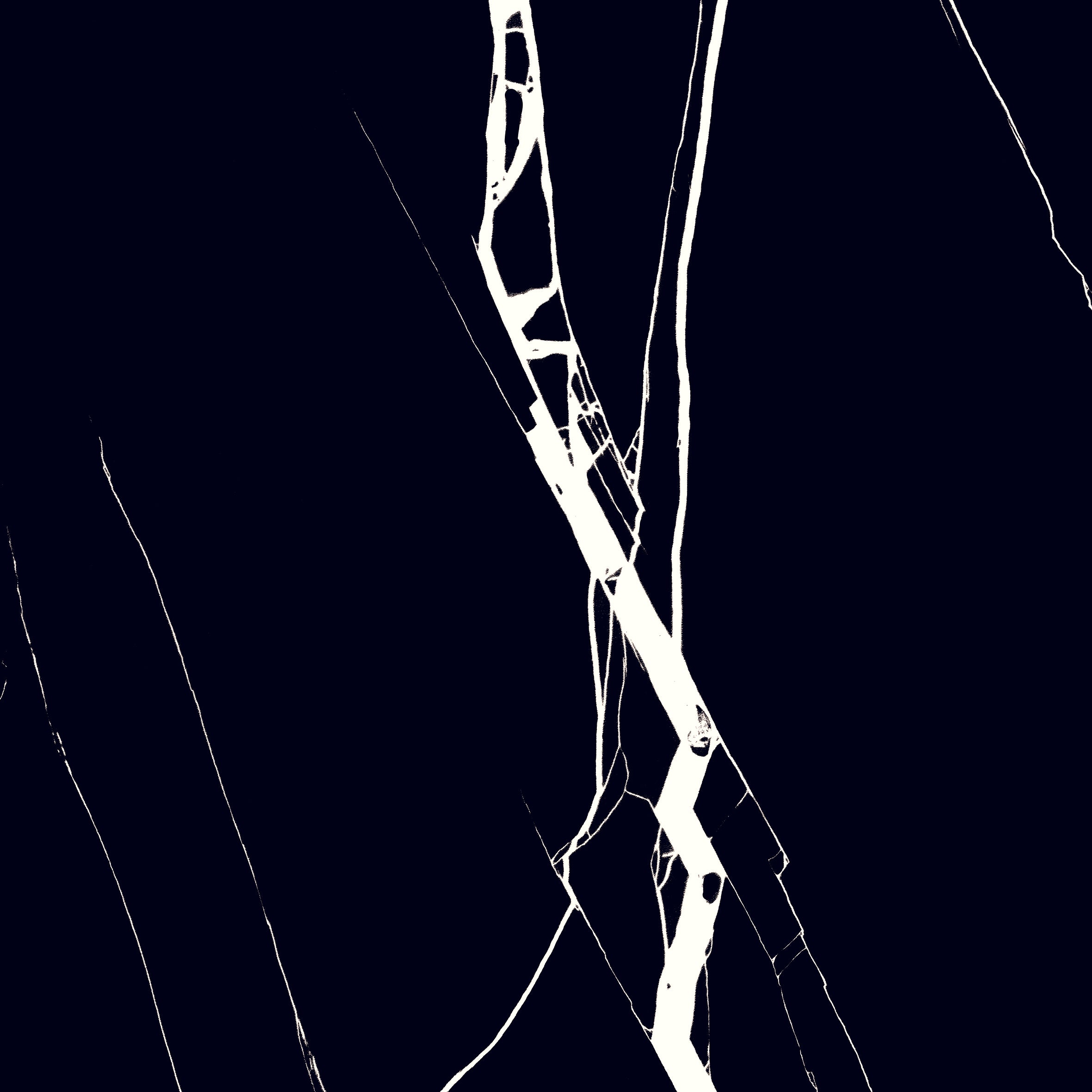 Nero Marquina 24"x24" Glossy