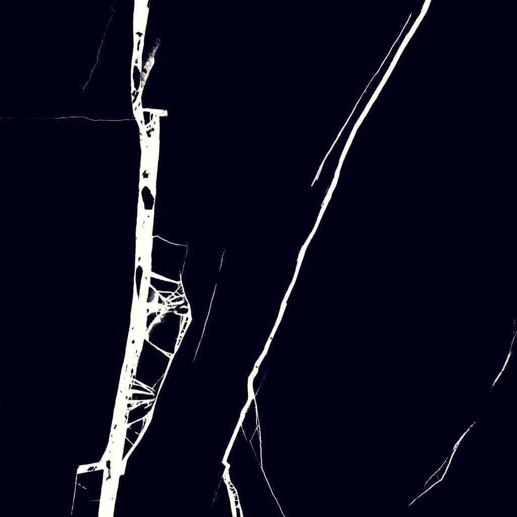 Nero Marquina 24"x24" Glossy