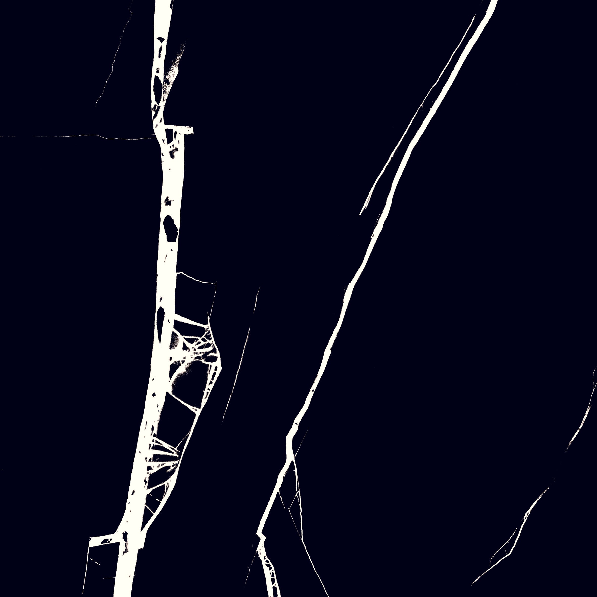 Nero Marquina 24"x24" Glossy