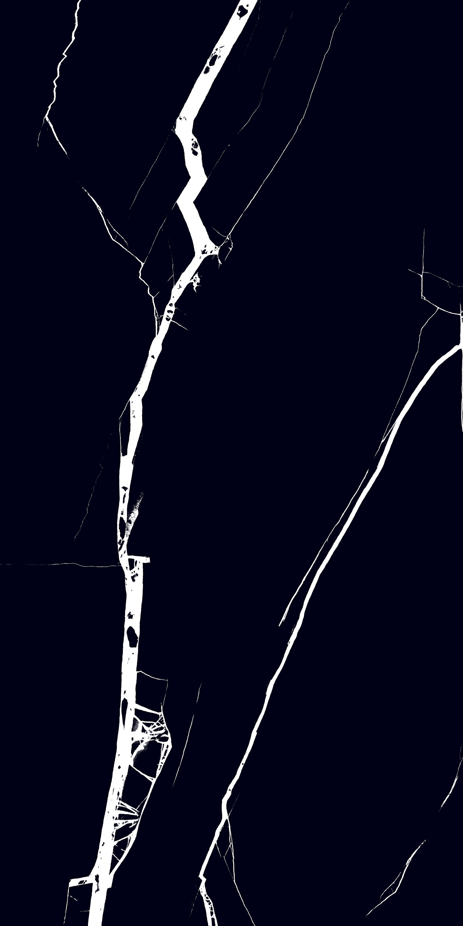 Nero Marquina 24"x48" Glossy