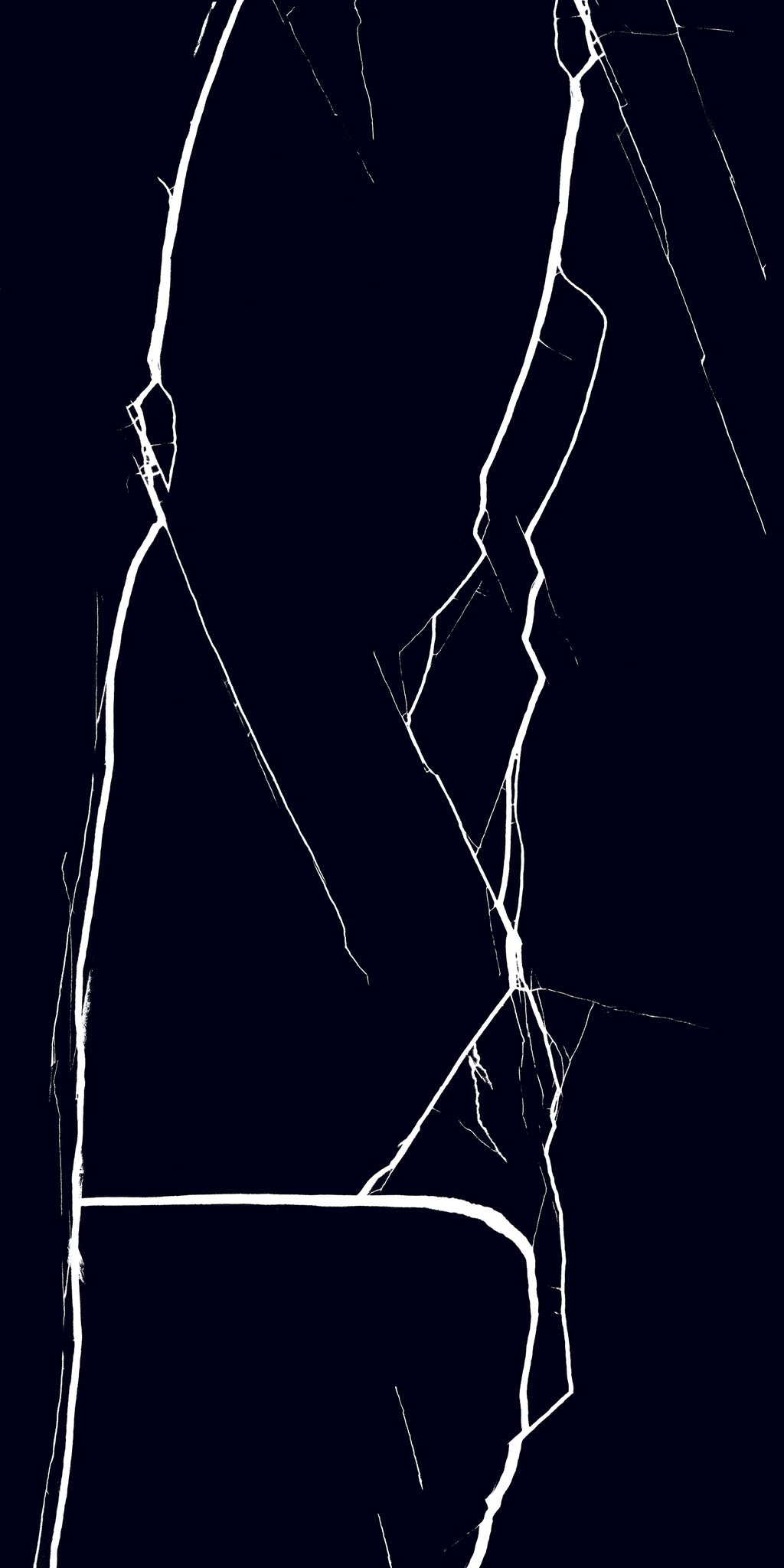 Nero Marquina 24"x48" Glossy