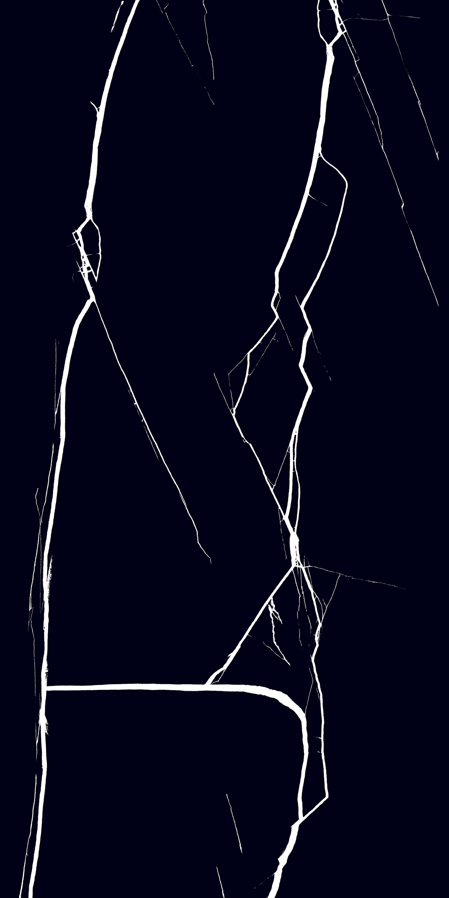 Nero Marquina 24"x48" Glossy