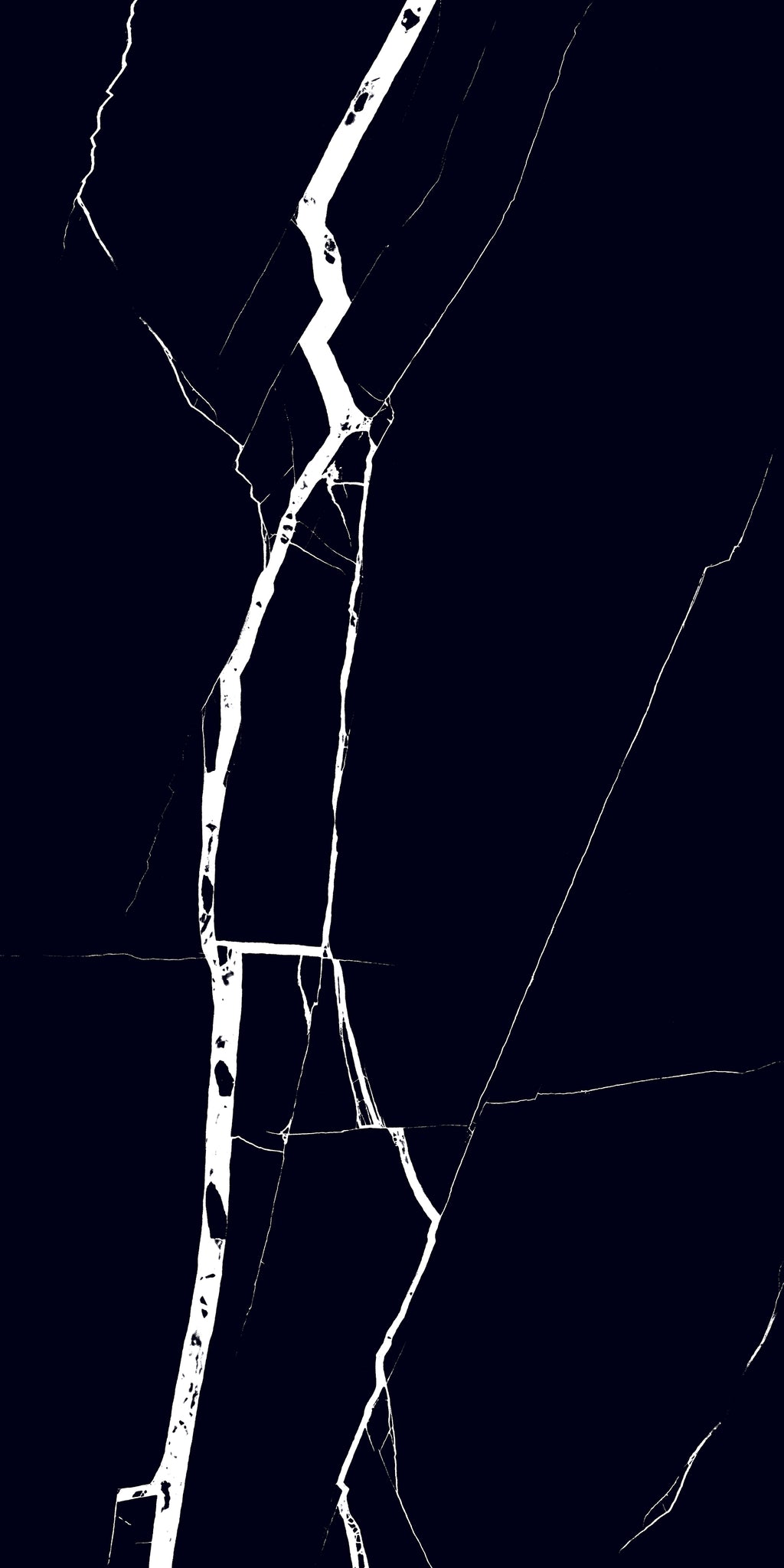 Nero Marquina 24"x48" Glossy