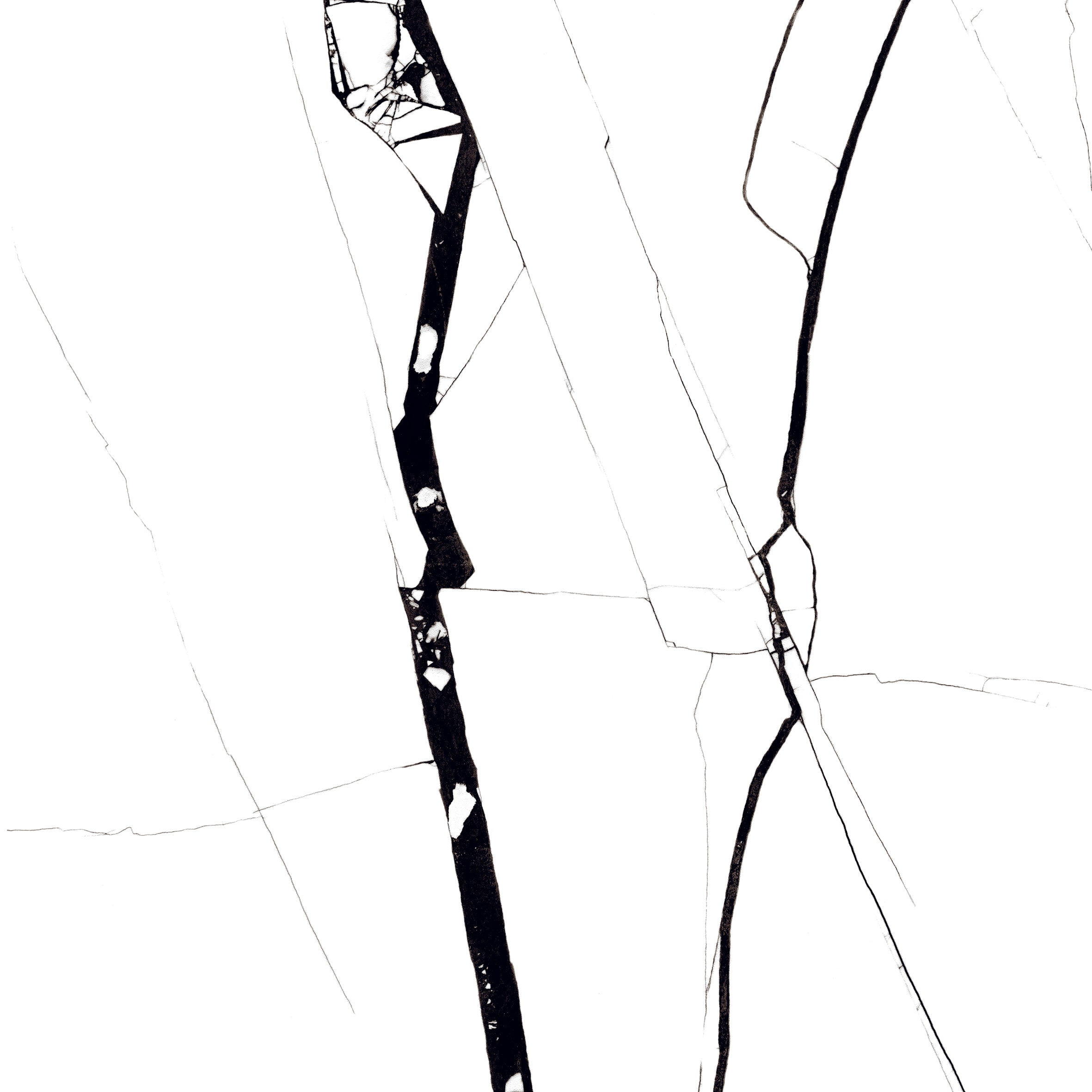 Spyder White 24"x24" Glossy