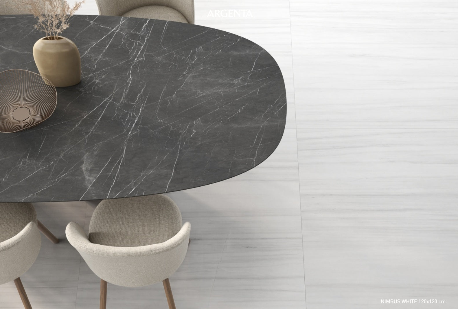 Argenta Nimbus Ivory 24"x48" Matte