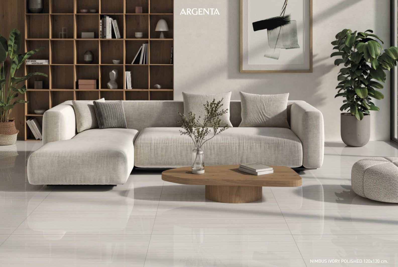 Argenta Nimbus Ivory 24"x48" Polished