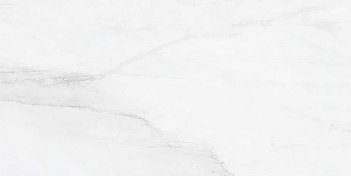 Brennero Venus White 12"x24"