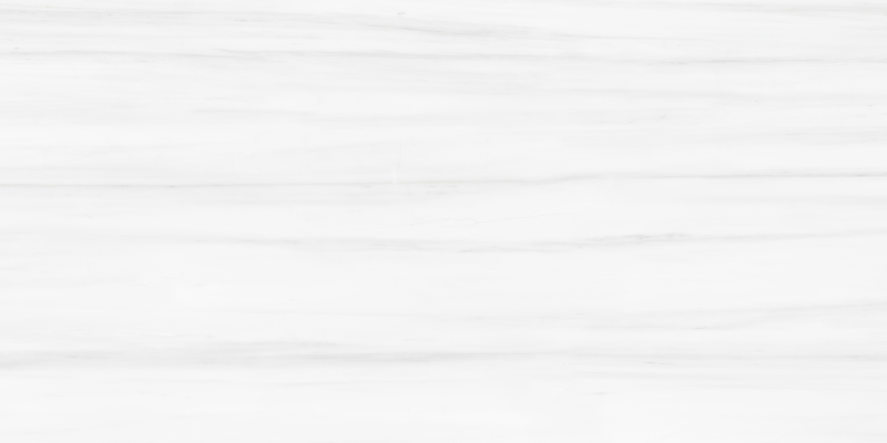 Argenta Nimbus Ivory 24"x48" Matte