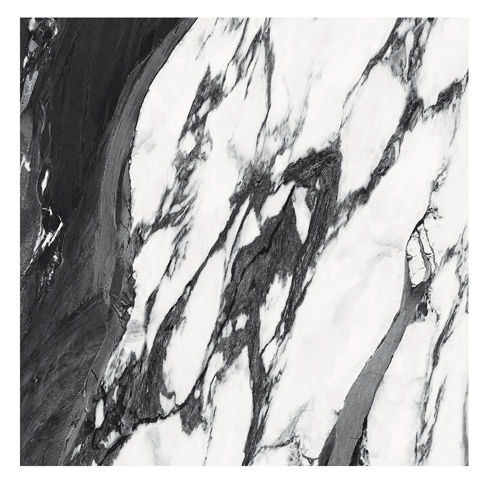 Elegance Panda 24"x48" Polished