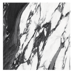 Elegance Panda 24"x48" Polished